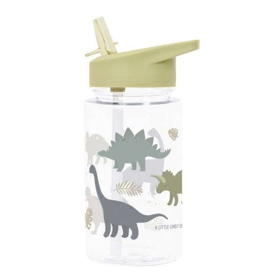 Kids drink bottle / water bottle: Dinosaurs