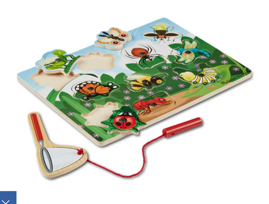 Bug Catching Magnetic Puzzle game