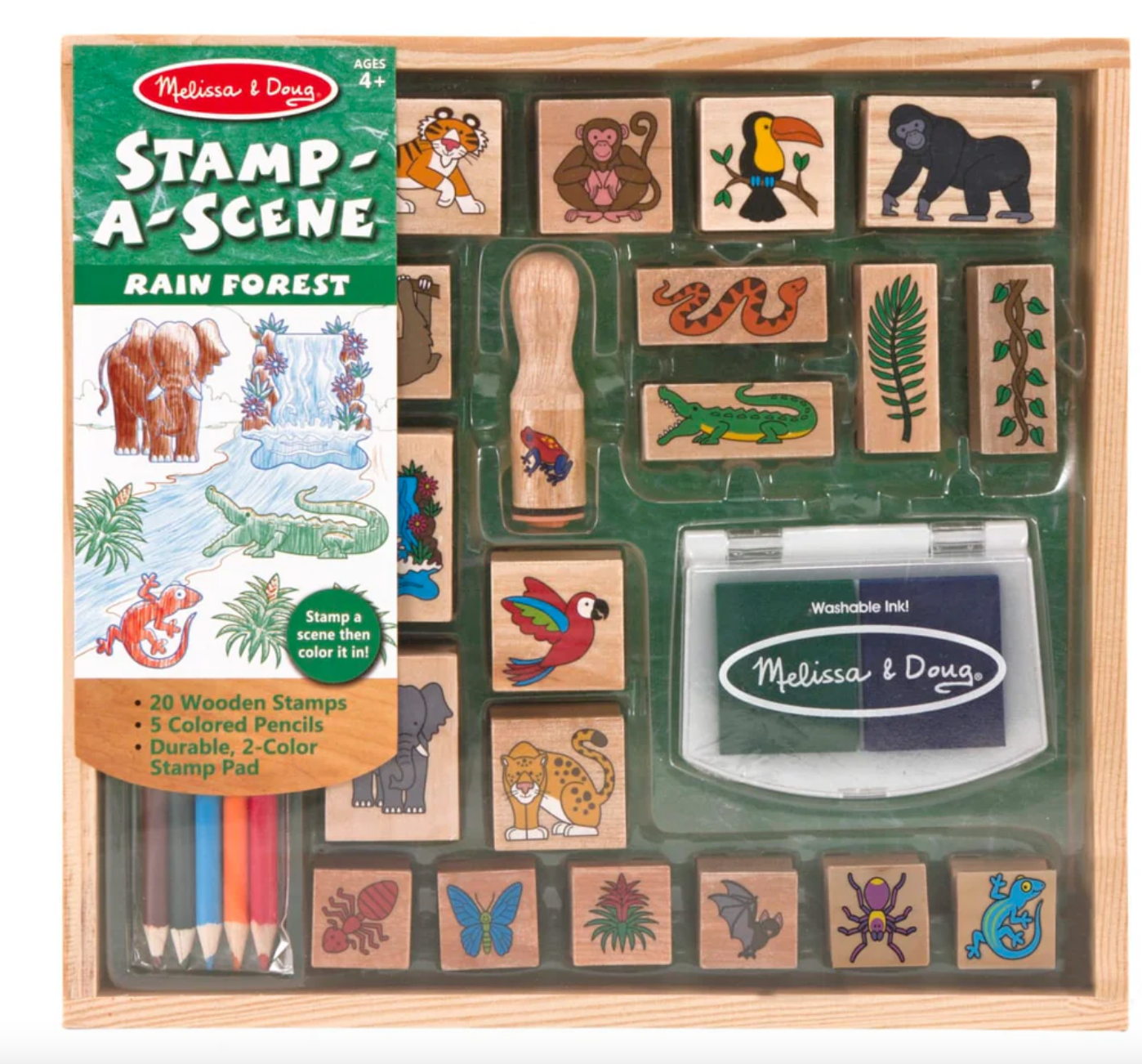 Stamp a Scene Rain Forest