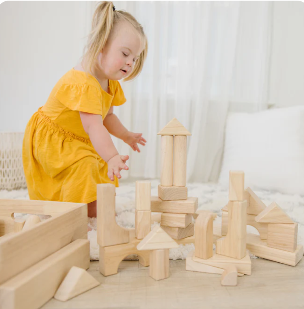 Standard Unit Blocks