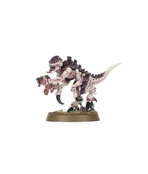 Warhammer 40,000 Introductory Set