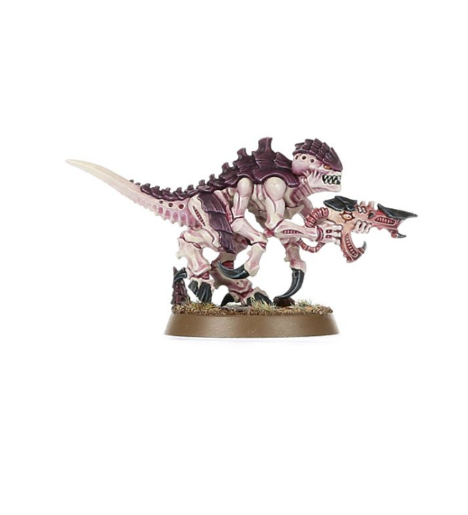 Warhammer 40,000 Introductory Set