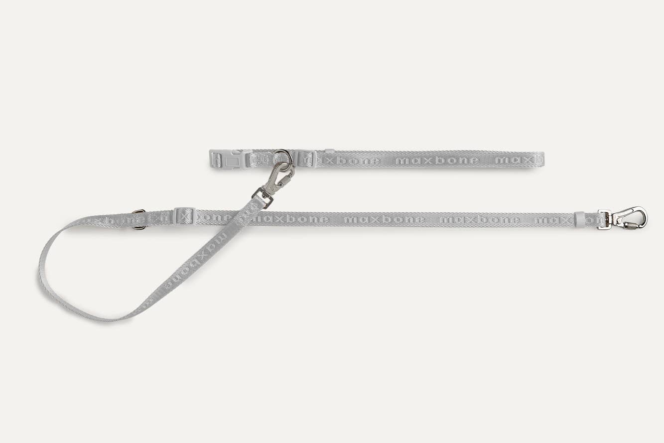 Mini Go with Ease Hands Free Leash