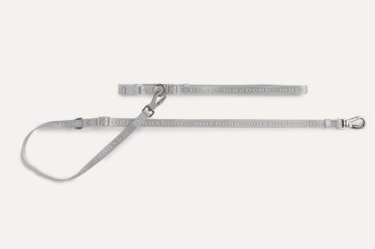 Mini Go with Ease Hands Free Leash