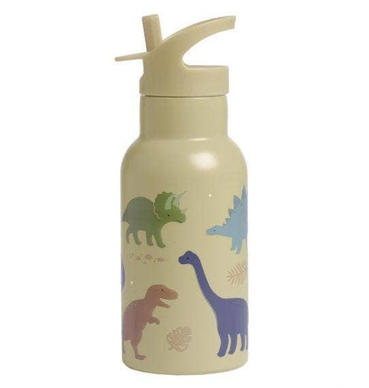 Kids stainless steel drink /water bottle: Dinosaurs